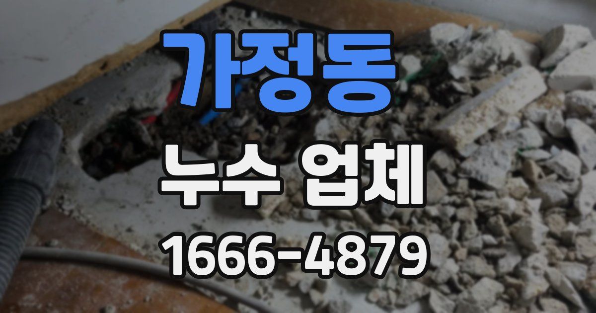 가정동 누수 업체