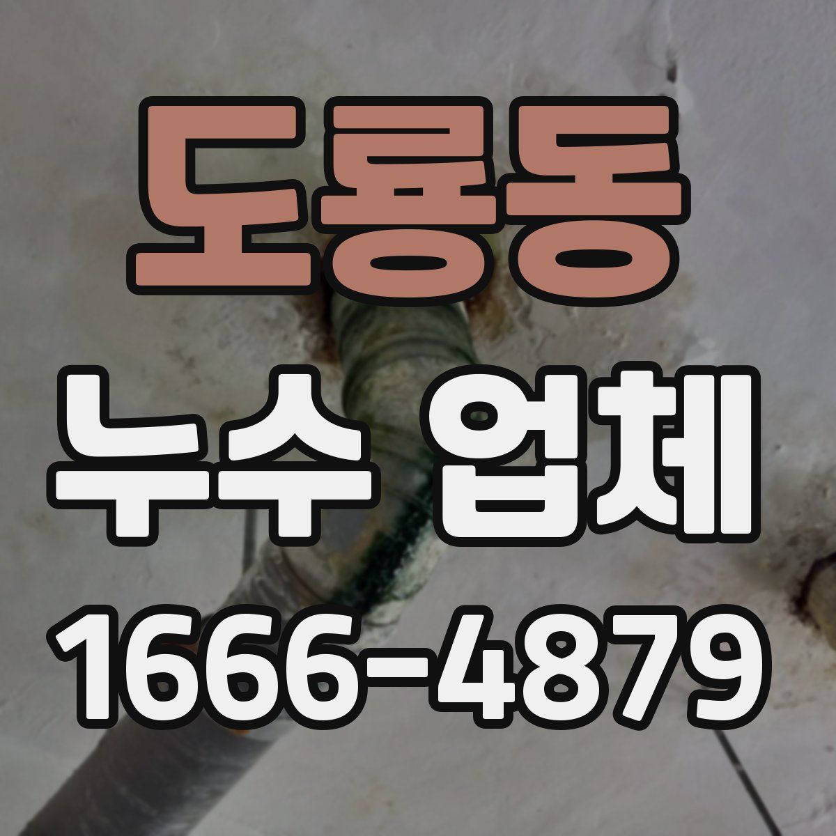 도룡동 누수 업체