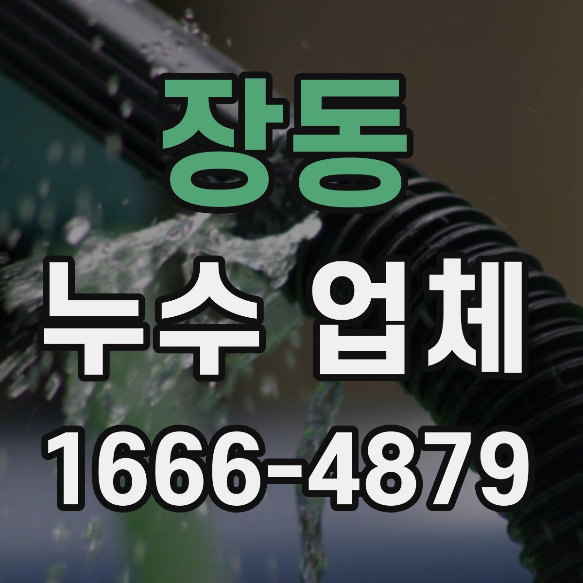 장동 누수 업체