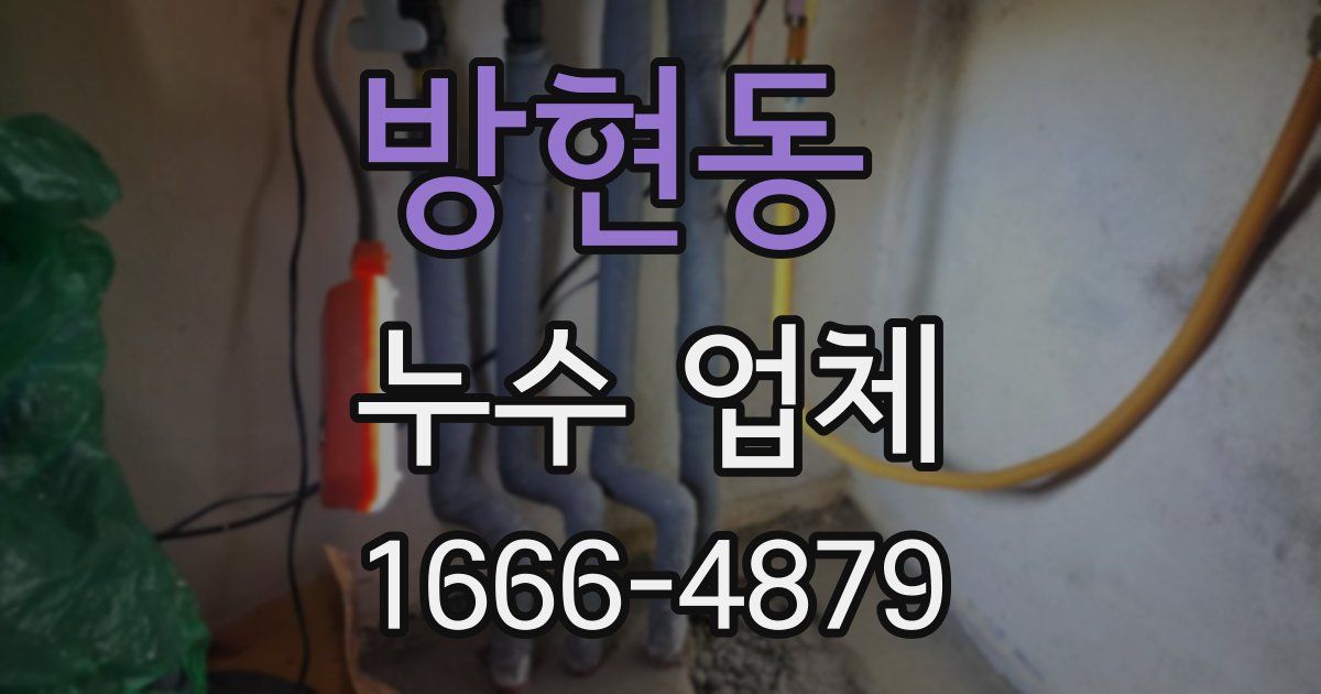 방현동 누수 업체