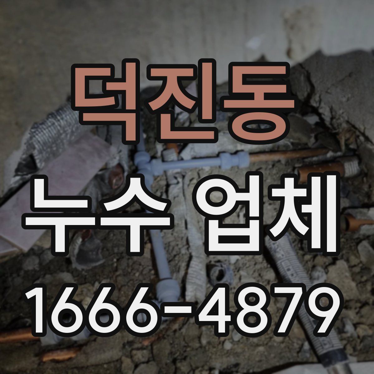 덕진동 누수 업체