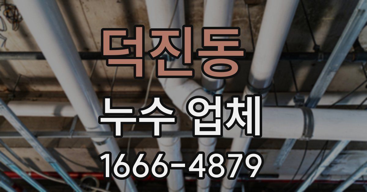덕진동 누수 업체