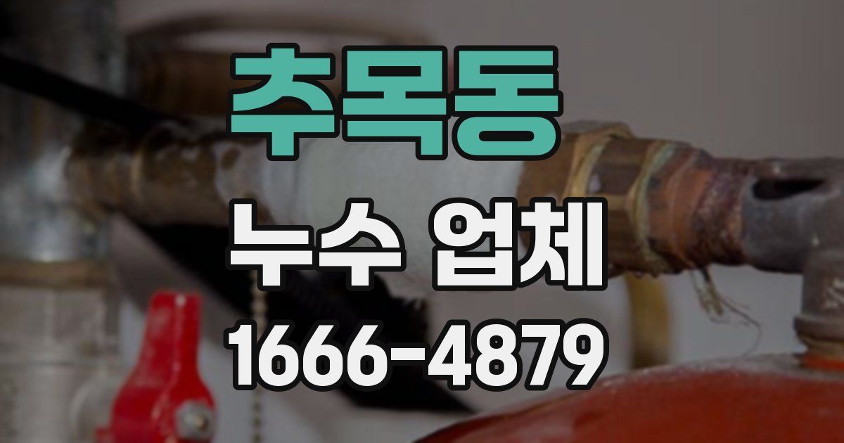 추목동 누수 업체