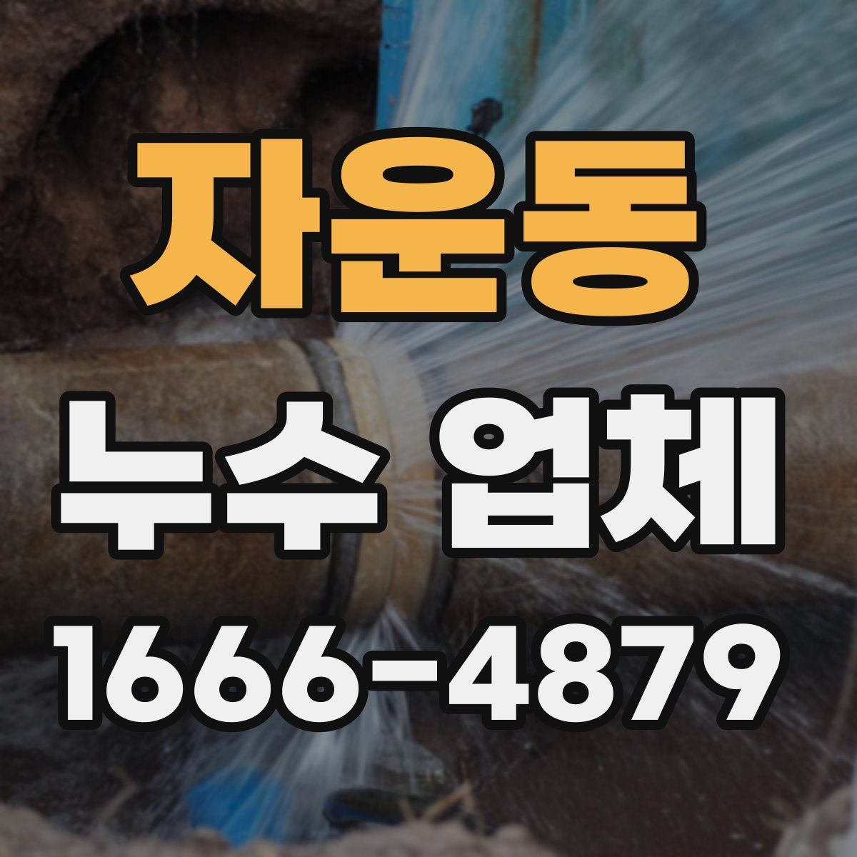 자운동 누수 업체