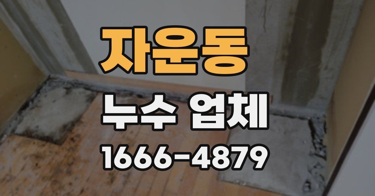 자운동 누수 업체