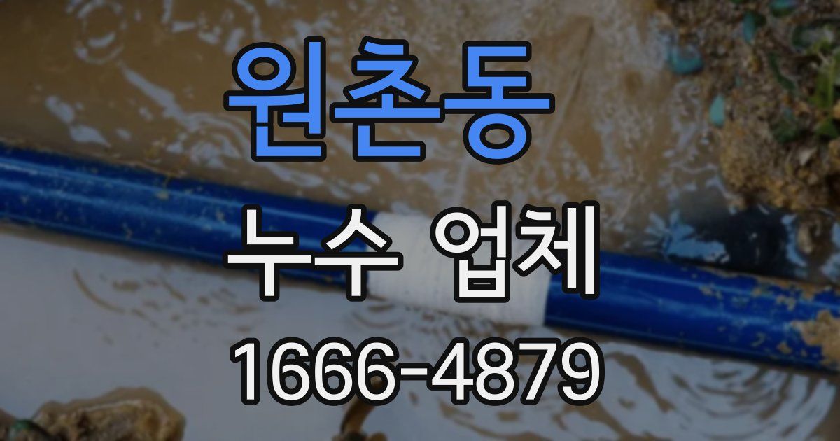 원촌동 누수 업체