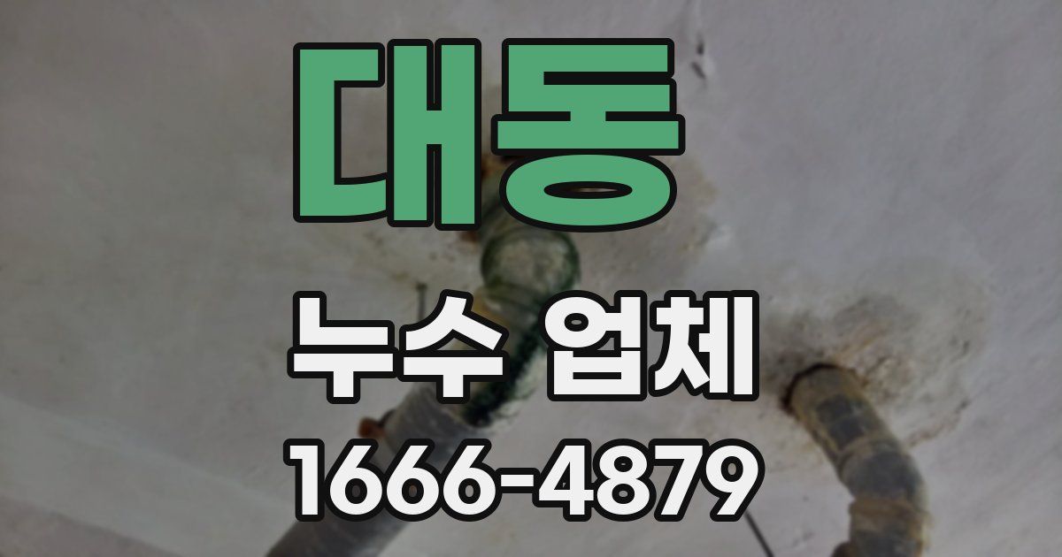 대동 누수 업체