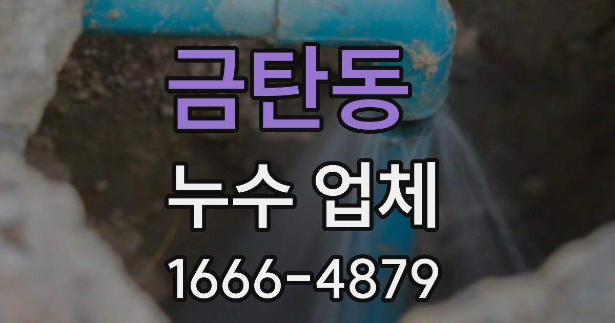 금탄동 누수 업체