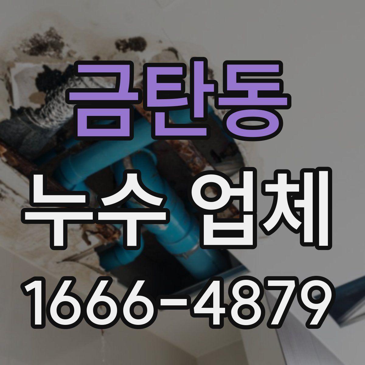 금탄동 누수 업체