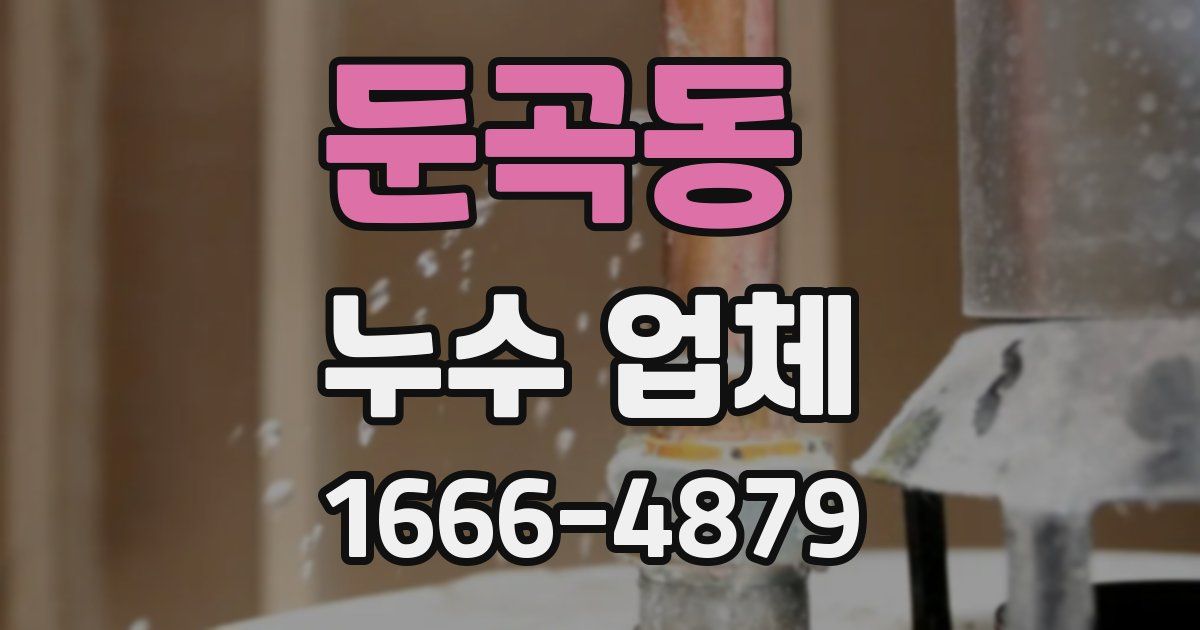 둔곡동 누수 업체