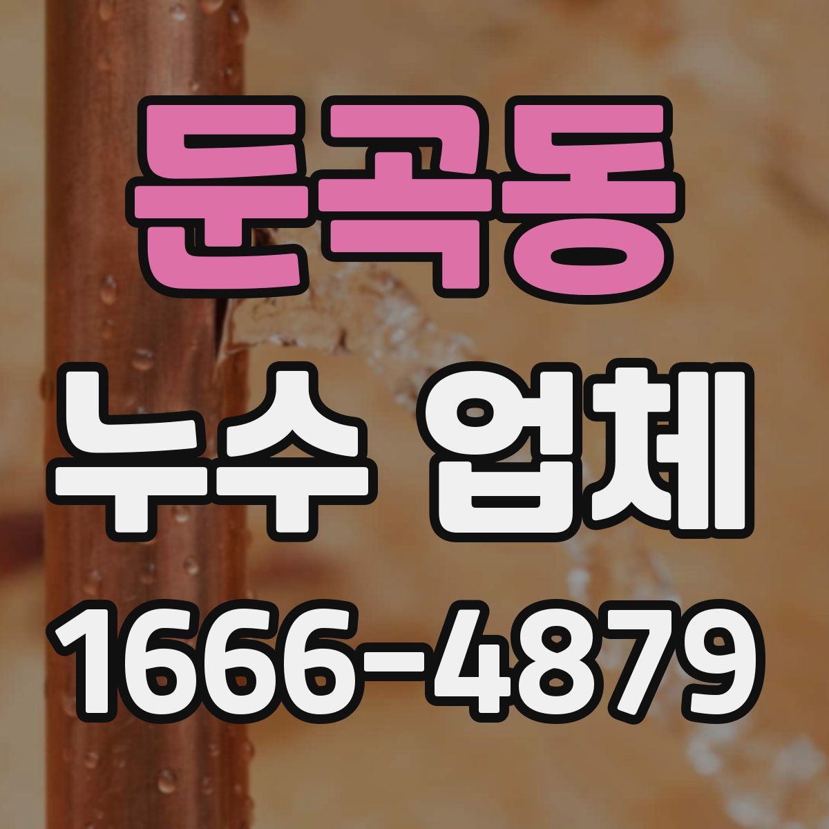 둔곡동 누수 업체