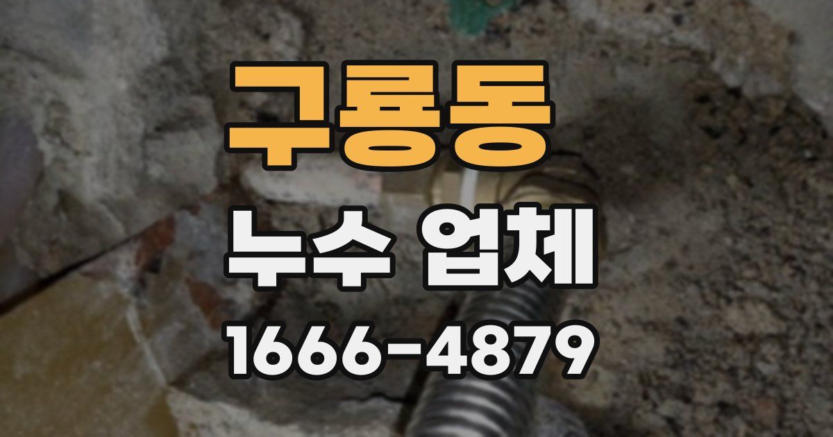 구룡동 누수 업체