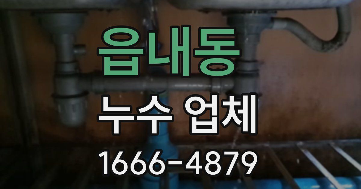 읍내동 누수 업체