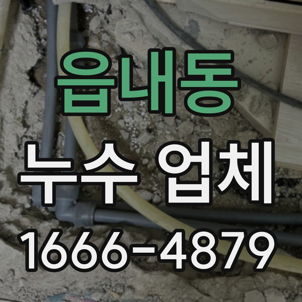 읍내동 누수 업체