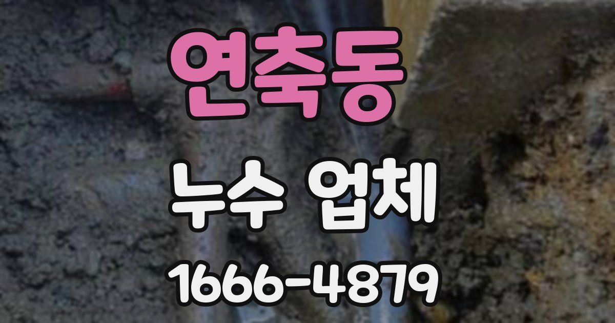 연축동 누수 업체