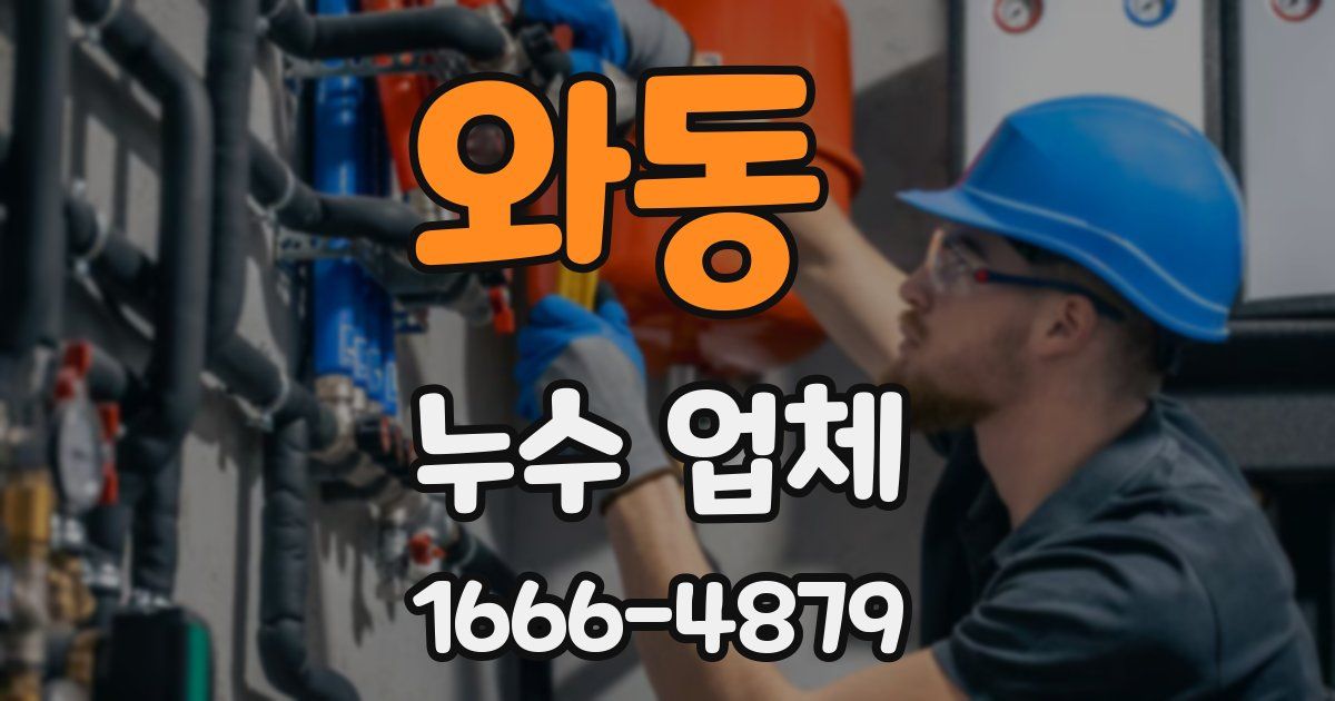 와동 누수 업체