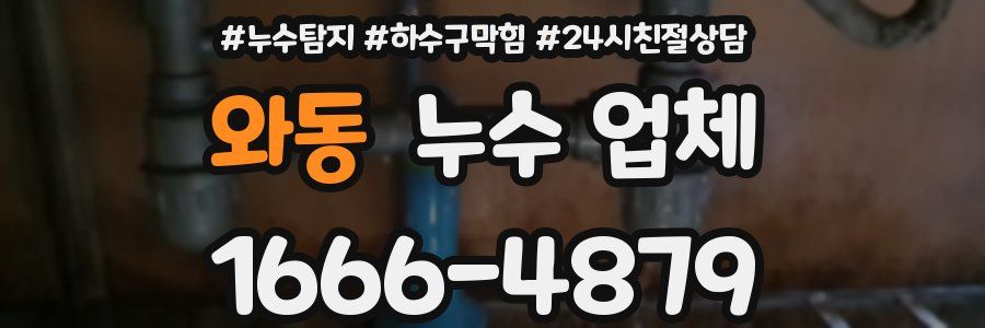 와동 누수 업체