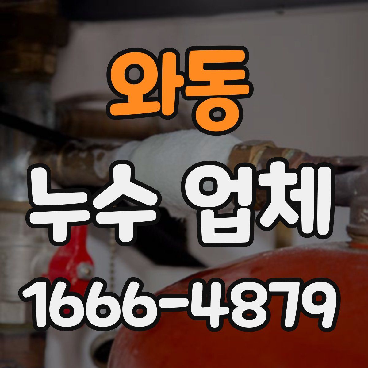와동 누수 업체