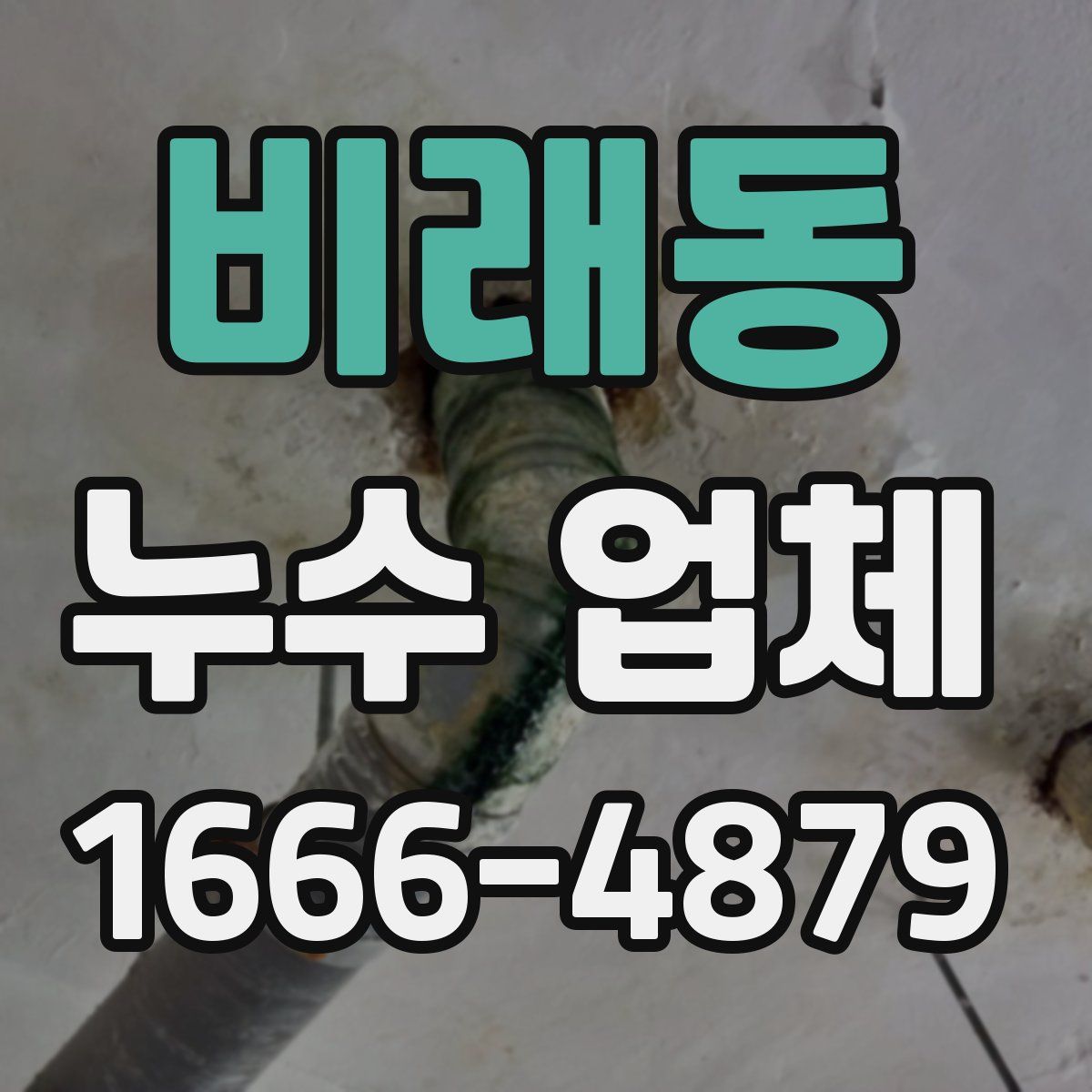 비래동 누수 업체