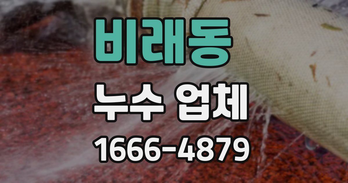 비래동 누수 업체