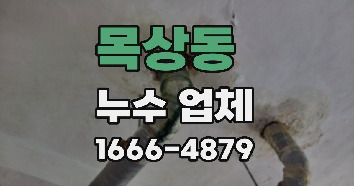 목상동 누수 업체