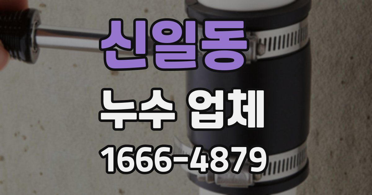 신일동 누수 업체