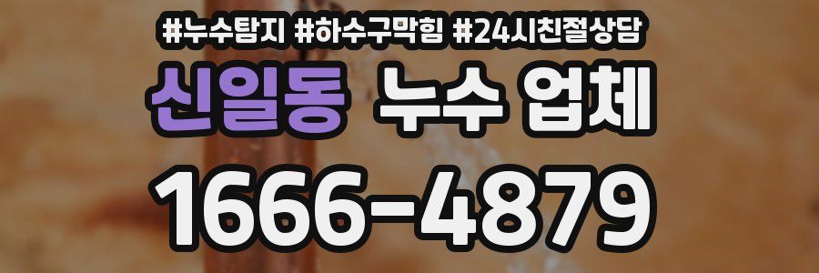 신일동 누수 업체