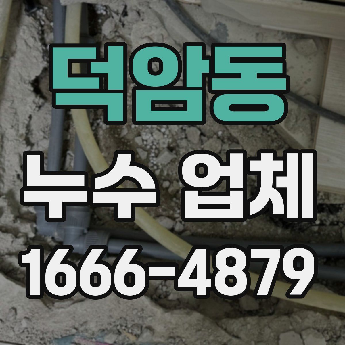 덕암동 누수 업체
