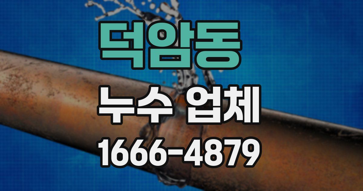 덕암동 누수 업체