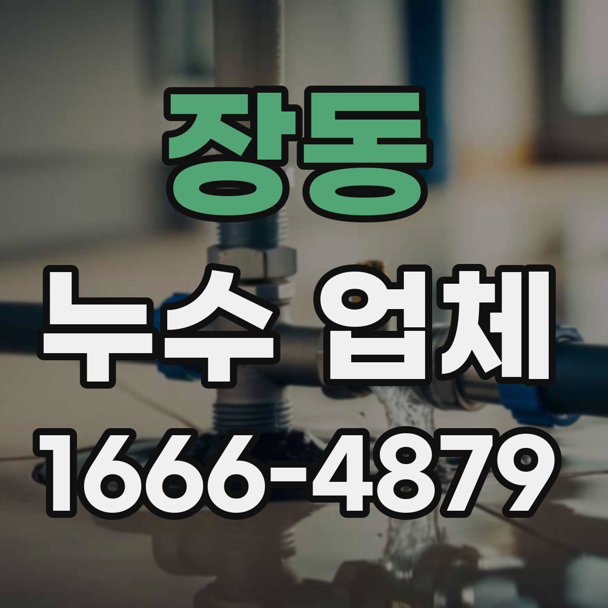 장동 누수 업체
