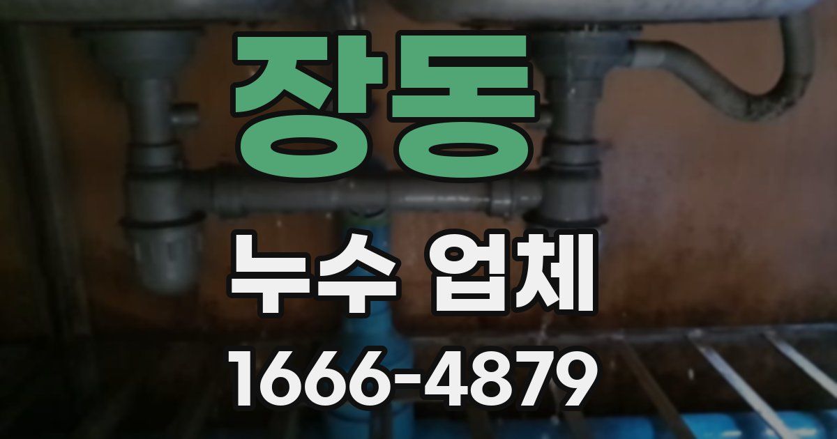 장동 누수 업체