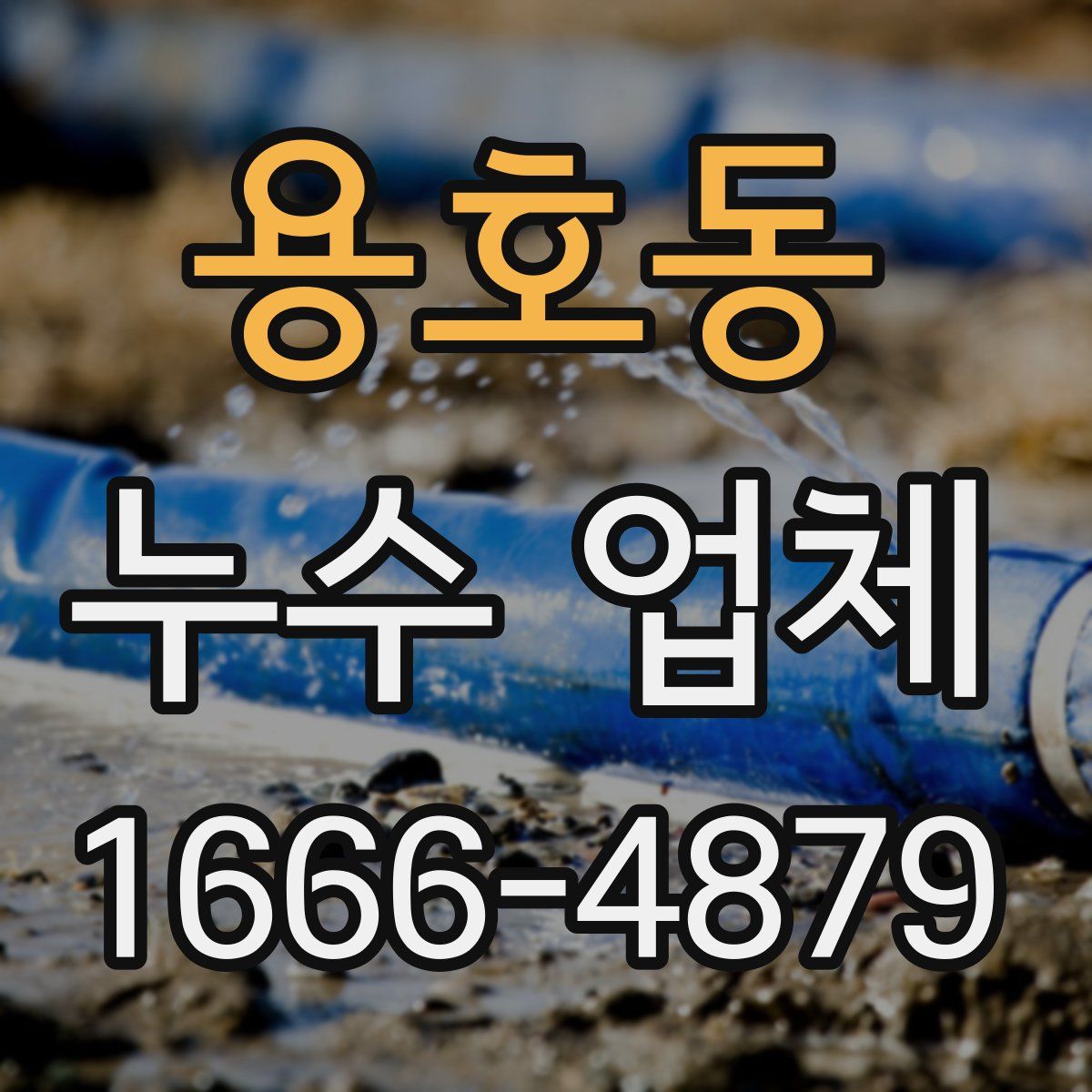 용호동 누수 업체