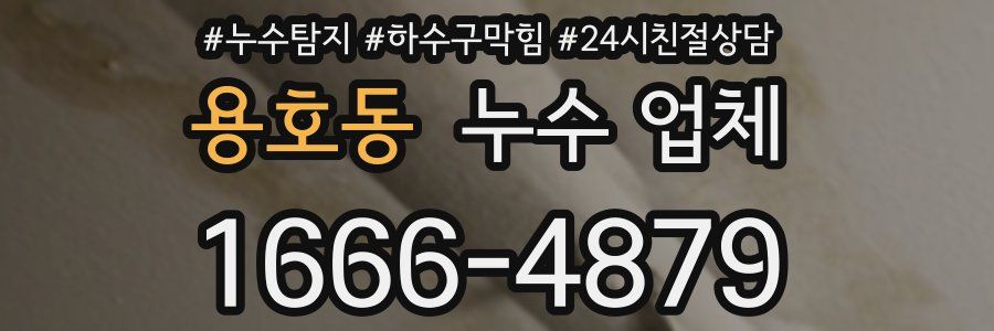 용호동 누수 업체