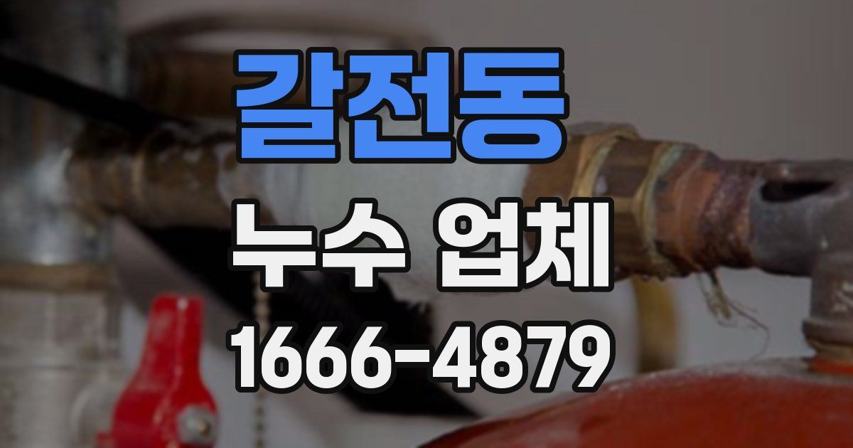 갈전동 누수 업체