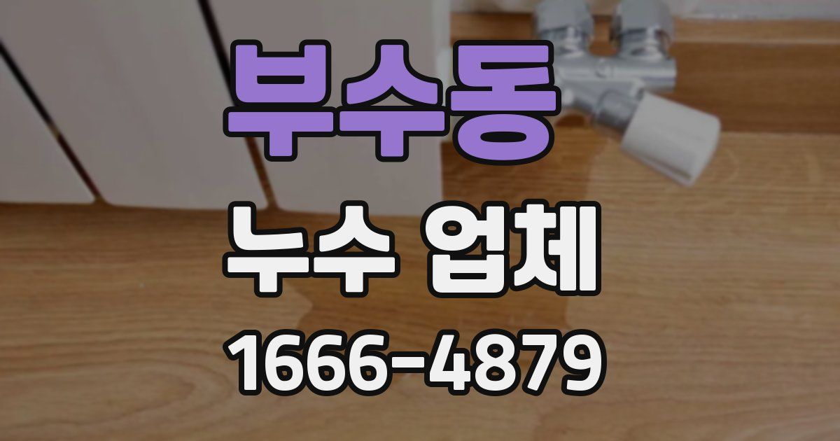 부수동 누수 업체