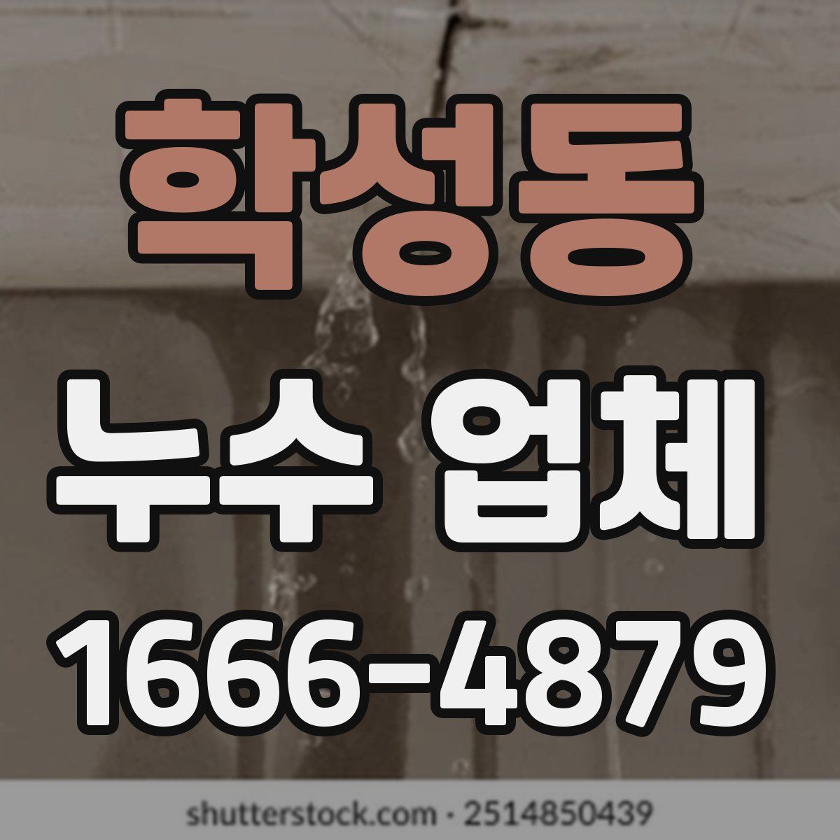학성동 누수 업체