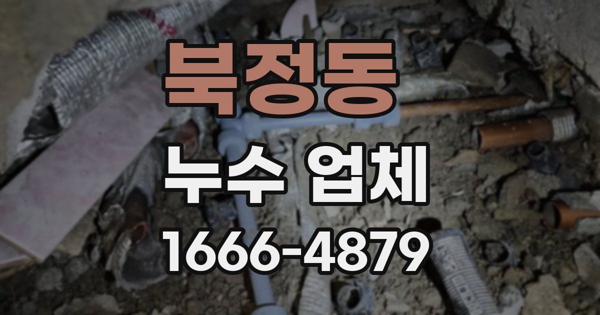북정동 누수 업체