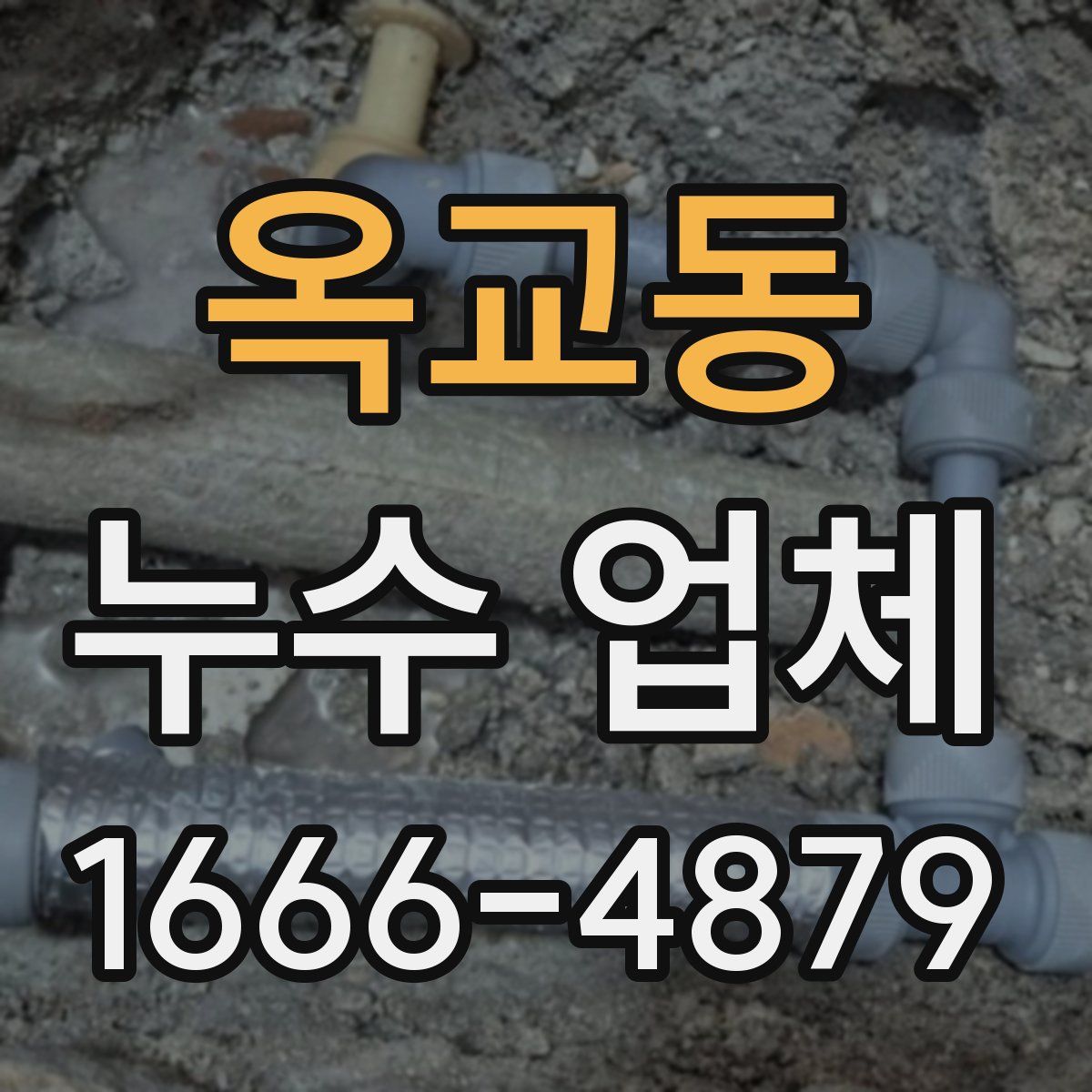 옥교동 누수 업체