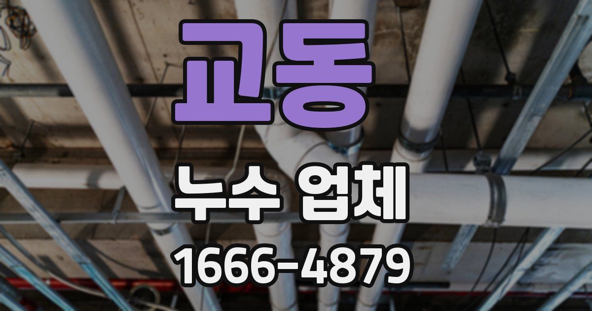 교동 누수 업체