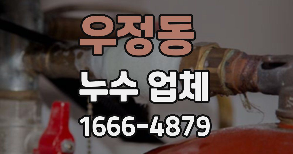 우정동 누수 업체