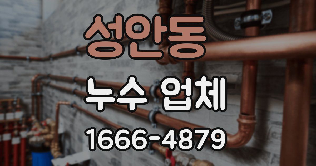 성안동 누수 업체