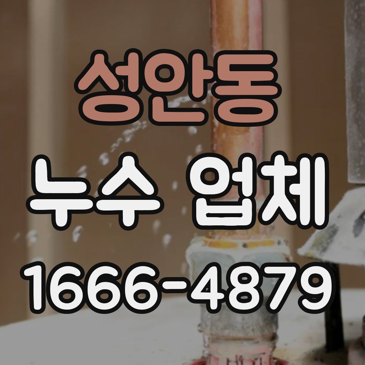 성안동 누수 업체