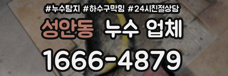 성안동 누수 업체