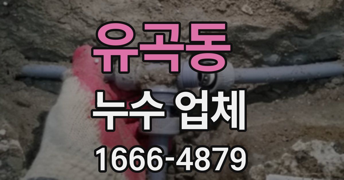 유곡동 누수 업체