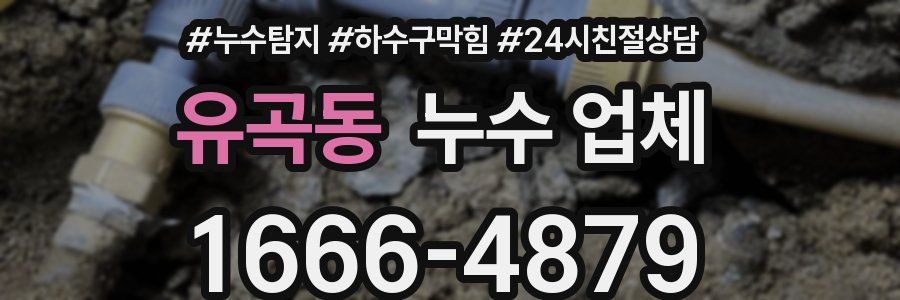 유곡동 누수 업체