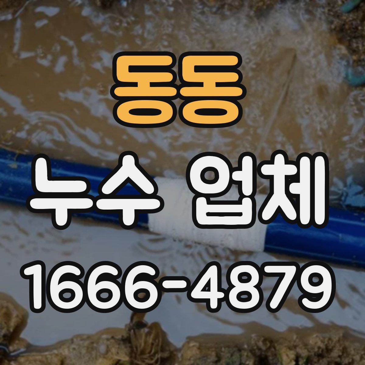 동동 누수 업체
