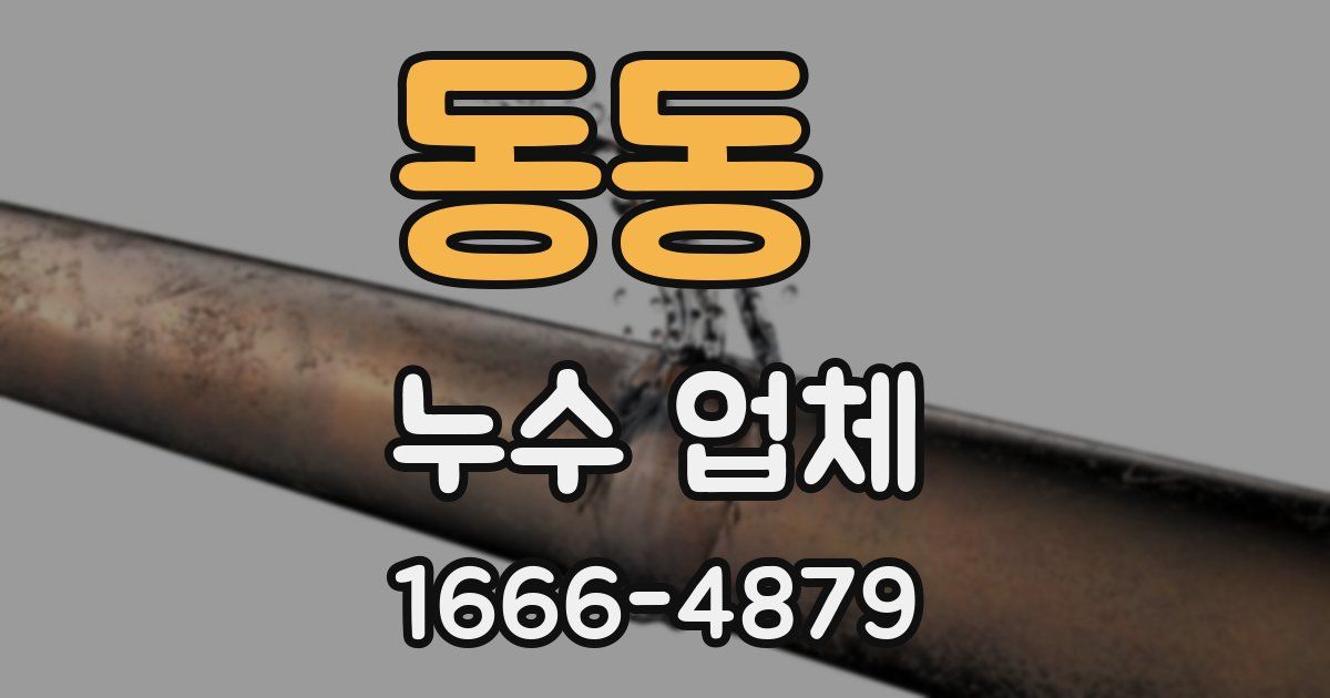 동동 누수 업체