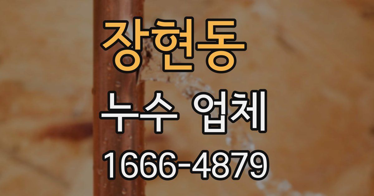 장현동 누수 업체