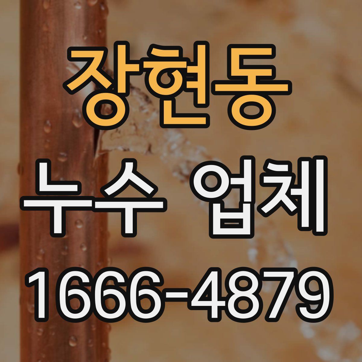 장현동 누수 업체