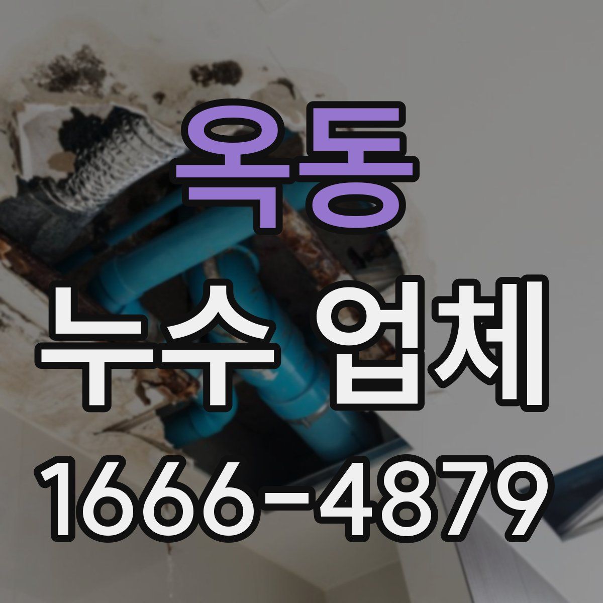 옥동 누수 업체
